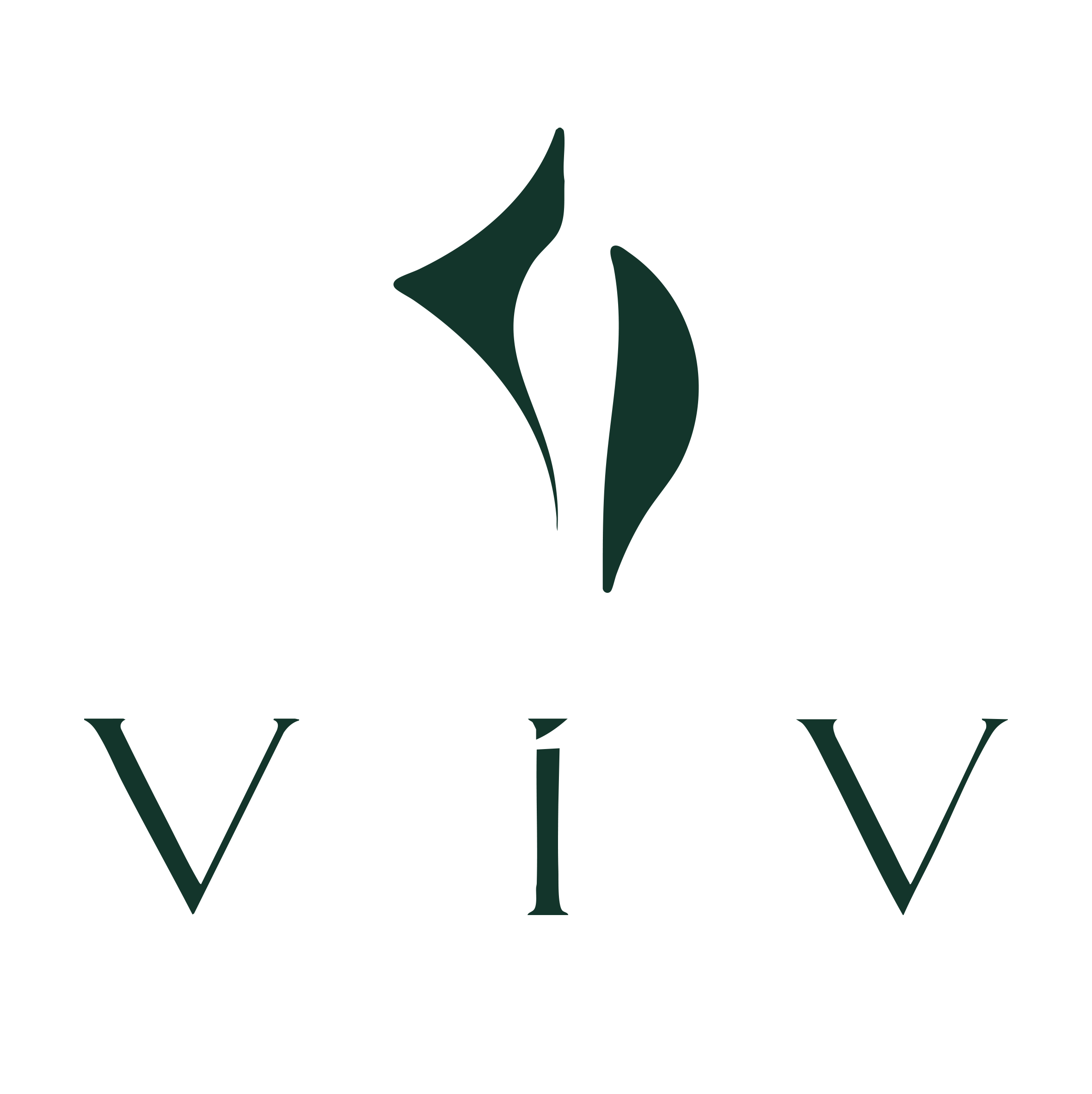 Núcleo VIV